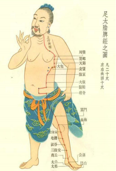 【经络】足太阴脾经【名称释义】本穴为脾之大络，统络阴阳诸经，故名大