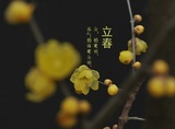 文章附图