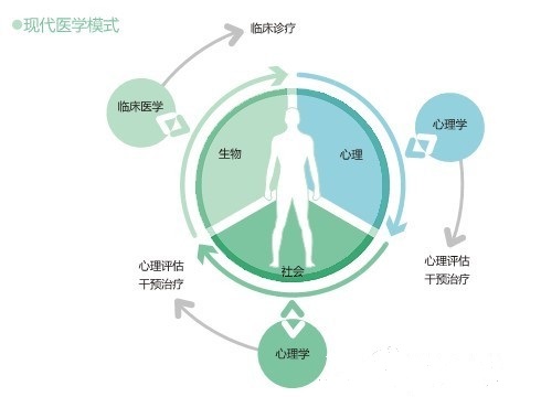 构建“知行合一”中医诊疗体系 - 南阳市中医药信息网