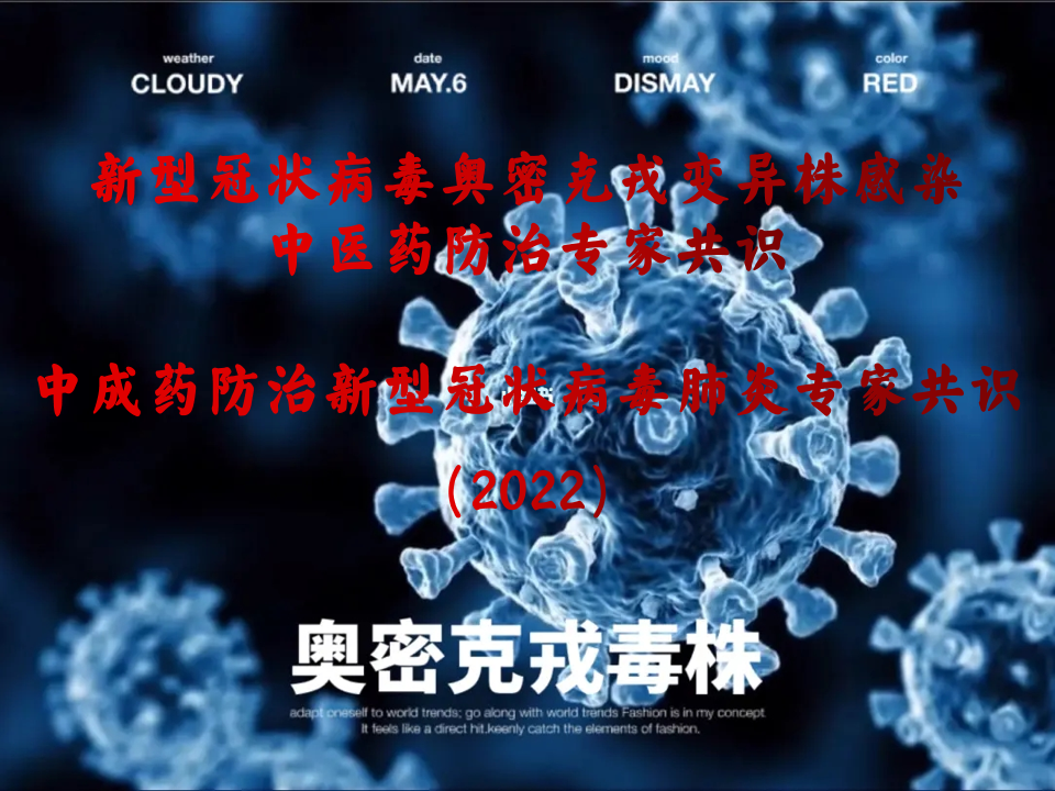 专家共识